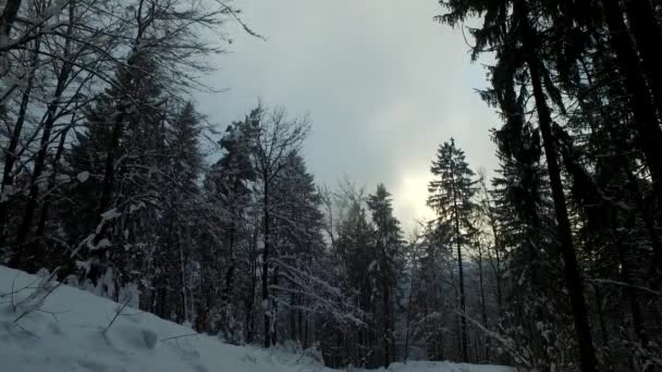 Witte Besneeuwde Bergvallei Bewolkte Dag Sneeuw Mist Mist — Stockvideo