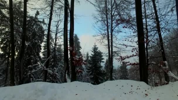 Vallée Montagne Enneigée Jour Nuageux Neige Brouillard Brume — Video