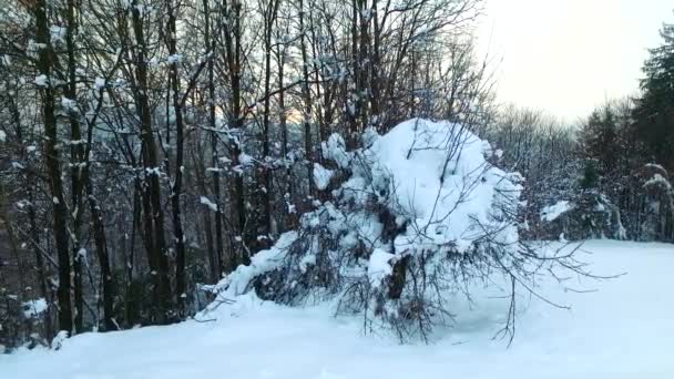 Weißes Schneebedecktes Gebirgstal Bewölkter Tag Schnee Nebel Nebel — Stockvideo