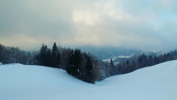 Weißes Schneebedecktes Gebirgstal Bewölkter Tag Schnee Nebel Nebel — Stockvideo