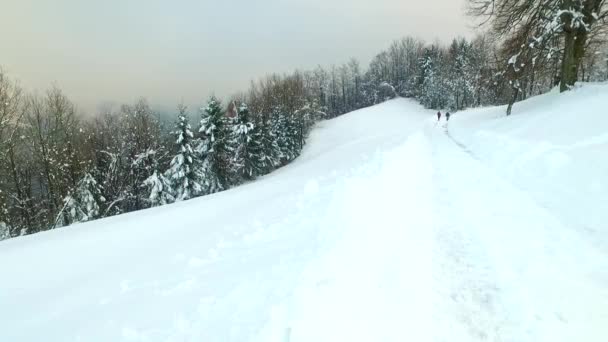 Wandelen Een Koud Besneeuwd Pad Het Diepgevroren Bos — Stockvideo