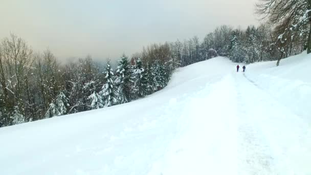 Caminata Por Sendero Nieve Fría Bosque Congelado Profundo — Vídeos de Stock