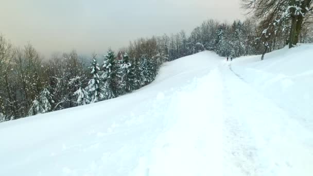 Wandern Auf Einem Kalten Verschneiten Pfad Tiefgefrorenen Wald — Stockvideo