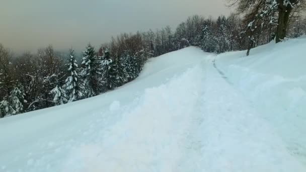 深い凍結した森の中の冷たい雪の道を歩く — ストック動画