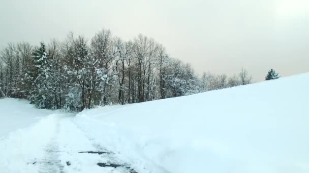 在深冻的森林里走在寒冷雪地的小径上 — 图库视频影像