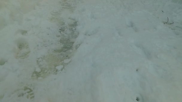 Sentieri Sconosciuti Ghiacciati Nella Neve Bianca Nel Bosco Cercare Una — Video Stock