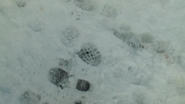 Неизвестные Замерзшие Тропы Белом Снегу Лесу Поиск Потерянного Человека — стоковое видео