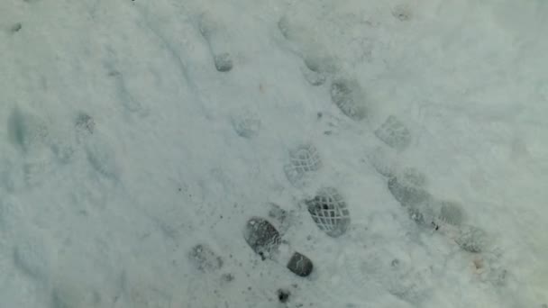 Sentiers Gelés Inconnus Dans Neige Blanche Forêt Chercher Une Personne — Video