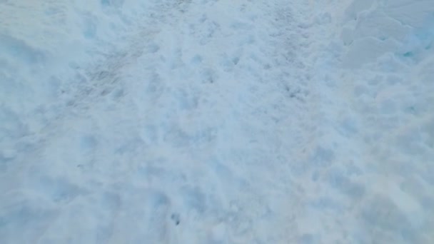 Неизвестные Замерзшие Тропы Белом Снегу Лесу Поиск Потерянного Человека — стоковое видео