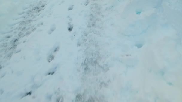 Ormandaki Beyaz Karda Bilinmeyen Donmuş Patikalar Kayıp Birini Ara — Stok video