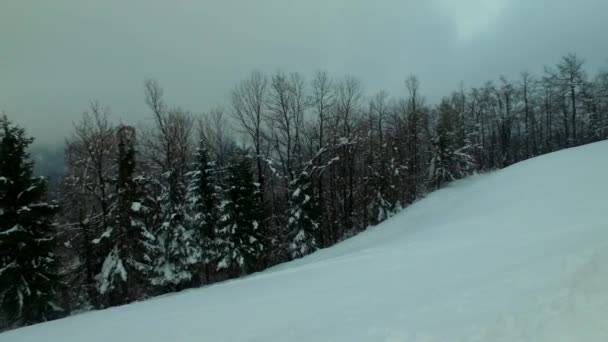 Foresta Innevata Sentiero Innevato Fredda Giornata Invernale Montagne Fredde — Video Stock