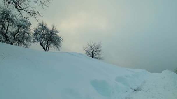 Χιονισμένο Δάσος Χιονισμένο Μονοπάτι Κρύα Χειμωνιάτικη Μέρα Κρύα Βουνά — Αρχείο Βίντεο