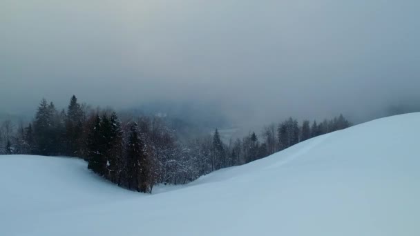 Montagne Invernali Nevose Nella Nebbia — Video Stock