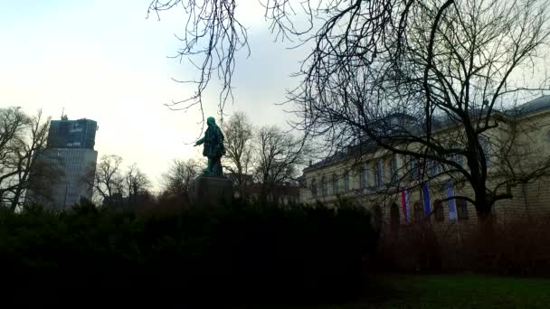 Observing Dark Clear Blue Sky Empty Tree Crowns Branches — Αρχείο Βίντεο