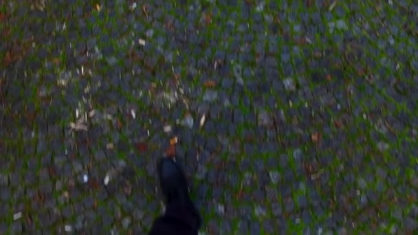 Прогулки Городу — стоковое видео
