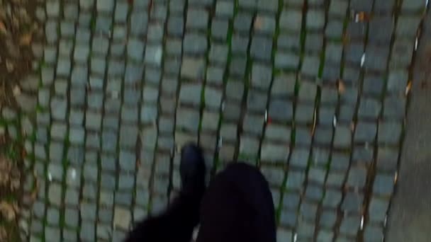Kamerayla Kaldırımda Yürüyorum Birinci Şahıs Kasabada — Stok video