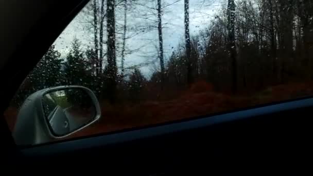 Observar Frío Día Otoño Través Ventana Del Coche Espejo Del — Vídeo de stock