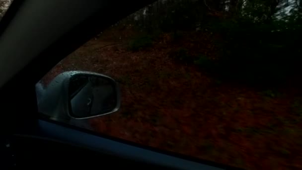Soğuk Sonbahar Gününü Araba Camından Izlemek Araba Aynasında Arabanın Dışında — Stok video