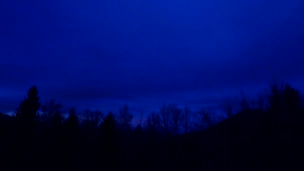 Bosque Oscuro Siluetas Árboles Bosque Nadie Espeluznante — Vídeos de Stock