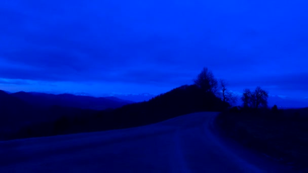 Прогулка Темноте Лесу — стоковое видео