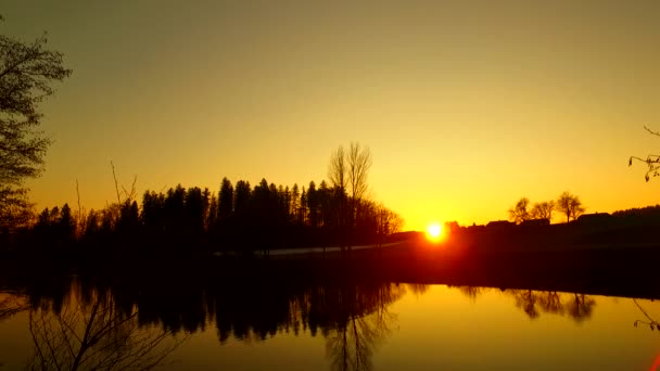 Sunset Small Lake While Some Ducks Swim Night Bold Colors — Stock Video