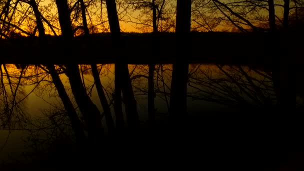 Захід Сонця Біля Невеликого Озера Час Деякі Качки Плавають Ньому — стокове відео