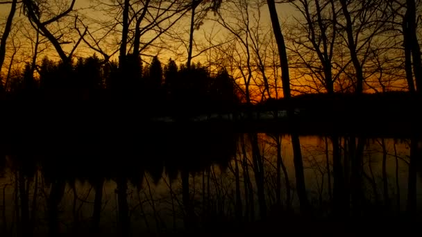 日落在小湖畔 一些鸭子在湖中游泳 在晚上之前大胆的颜色 — 图库视频影像