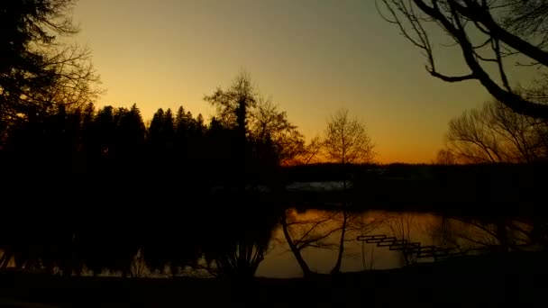 いくつかのアヒルが泳いで小さな湖の近くの日没 前の晩 太めの色 — ストック動画
