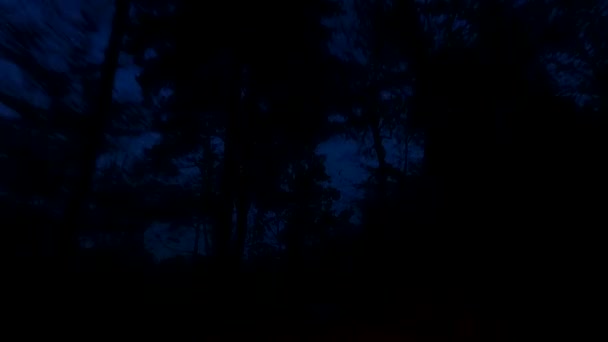 Водіння Початку Ночі Падіння Спостерігаючи Останніми Силуетами Дерев Небі Час — стокове відео