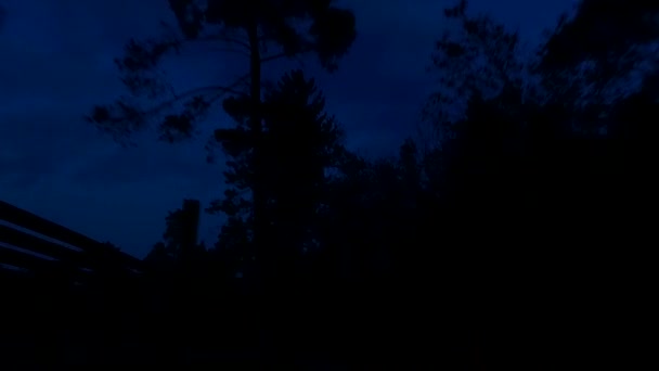 Driving Beginning Night Falling Observing Last Silhouettes Trees Sky While — Vídeo de Stock