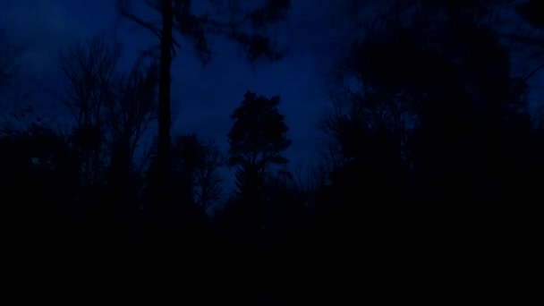 Driving Beginning Night Falling Observing Last Silhouettes Trees Sky While — Vídeo de Stock