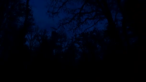 Driving Beginning Night Falling Observing Last Silhouettes Trees Sky While — Vídeo de Stock