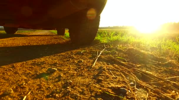 Emergency Car Lost Summer Morning Field — Stockvideo