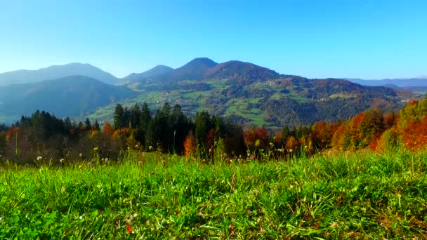 Pastures Valley Hills Mountains Back Autumn Sunny Day Clean Nature — ストック動画