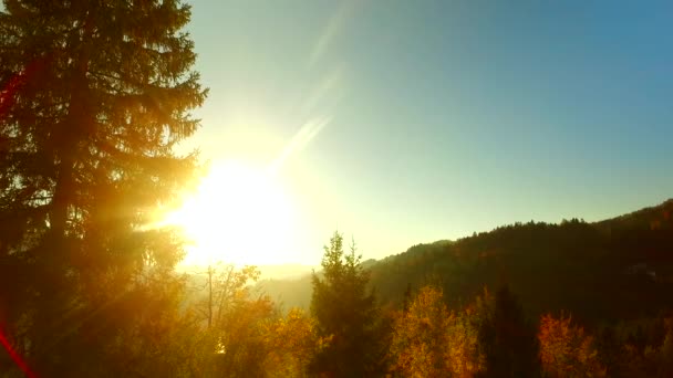 Yoğun Güneş Güneş Işınları Sonbahar Ormanı Mutlu Zamanlar — Stok video