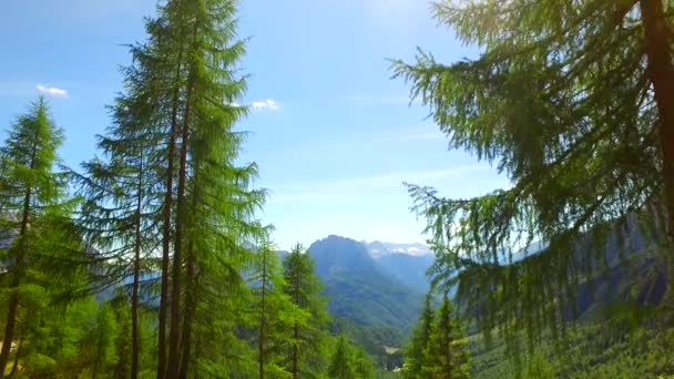 Hermoso Día Montañas Peligrosas Camino Camino Naturaleza — Vídeos de Stock