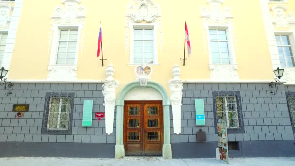Ljubljana Slowenien Europa Juni 2018 Feier Des 100 Jährigen Bestehens — Stockvideo