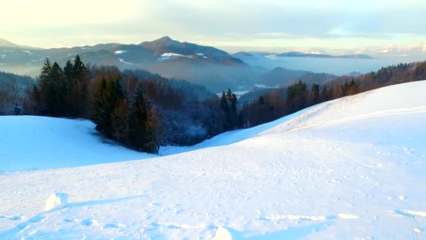 Freddo Giorno Inverno Foresta Montagne Ombre Silhouette Fine Giornata — Video Stock