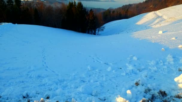 Cold Winter Day Forest Mountains Shadows Silhouettes Day Ends — Stock Video