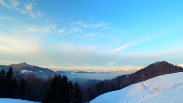 Freddo Giorno Inverno Foresta Montagne Ombre Silhouette Fine Giornata — Video Stock