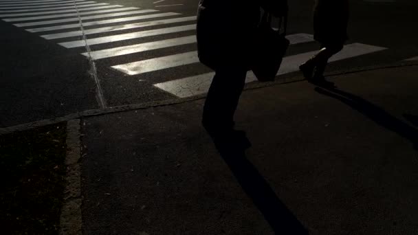 Silhouetten Van Mensen Trottoir Zebra — Stockvideo