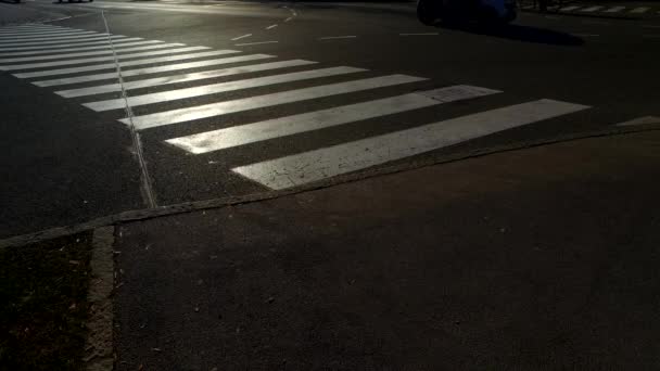 Silhuetter Människor Trottoaren Zebra — Stockvideo