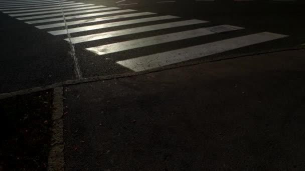 Silhuetas Pessoas Pavimento Zebra — Vídeo de Stock
