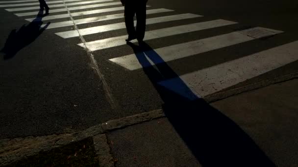 Silhouettes Personnes Sur Chaussée Zèbre — Video