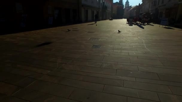 Silhuetas Sombras Pessoas Uma Cidade Dia Ensolarado Inverno — Vídeo de Stock