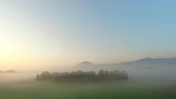 Observando Cores Ousadas Natureza Nevoeiro Névoa Raios Sol Ousados Prados — Vídeo de Stock