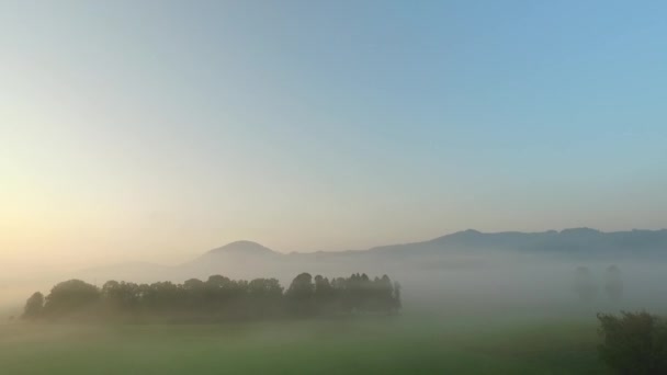 Observando Colores Audaces Naturaleza Niebla Niebla Rayos Sol Atrevidos Prados — Vídeo de stock