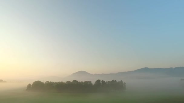 Observando Colores Audaces Naturaleza Niebla Niebla Rayos Sol Atrevidos Prados — Vídeo de stock