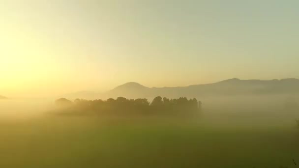 Obserwując Odważne Kolory Natury Mgły Mgły Śmiały Zachód Słońca Łąki — Wideo stockowe