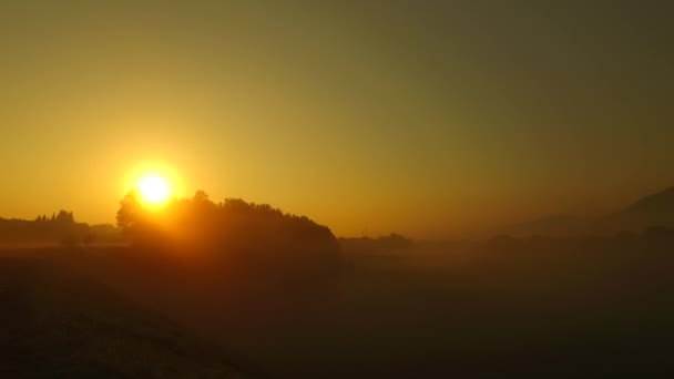 Osservando Colori Audaci Della Natura Nebbia Nebbia Arditi Raggi Del — Video Stock